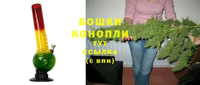 продажа наркотиков  Камызяк  Марихуана сатива 